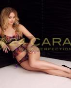 Beautiful High Class Female London Escorts